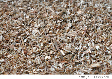 おがくず 13595726