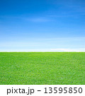 Grass field 13595850