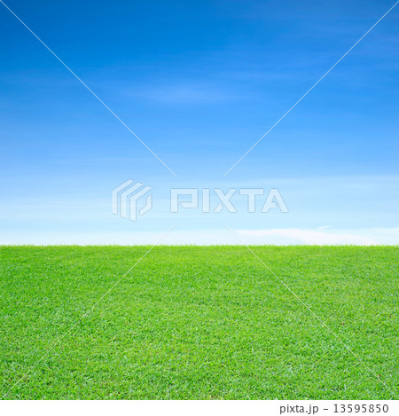 Grass field 13595850