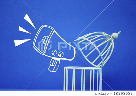 言論の自由 - 解放された声 13595955