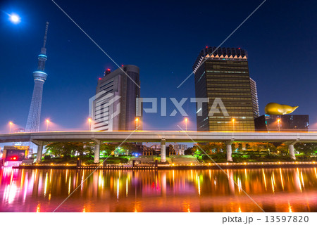 Tokyo skyline, Japan. 13597820