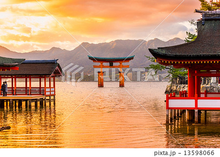 Miyajima Torii gate, Japan. Miyajima Torii gate, Japan. 13598066
