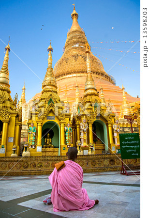 Young Lady monk praying at the Shwedagon Paya, Yangoon, Myanmar. Young Lady monk praying at the Shwedagon Paya, Yangoon, Myanmar. 13598203