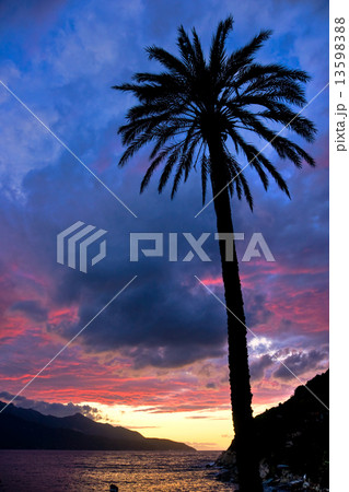 Sunset at Forno, on the Biodola Bay, Elba island. 13598388