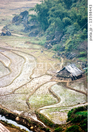 North Vietnamese Landscape. North Vietnamese Landscape. 13598443