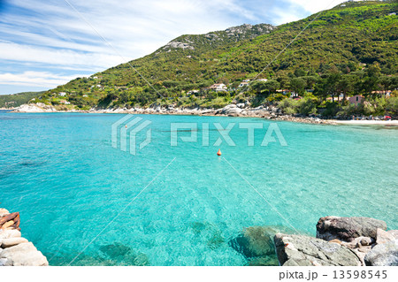 Capo Bianco beach, Elba island. 13598545