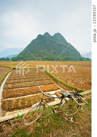 North Vietnamese Landscape. North Vietnamese Landscape. 13599107