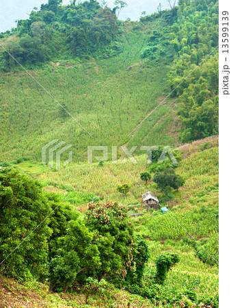 North Vietnamese Landscape. North Vietnamese Landscape. 13599139