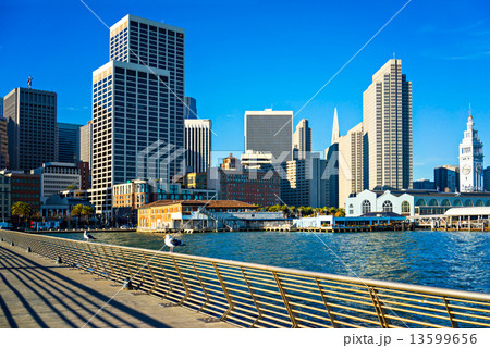 San Francisco skyline 13599656