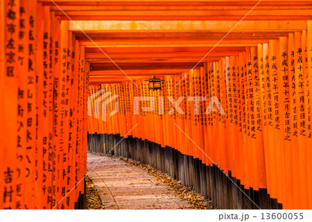 Fushimi Inari Taisha Shrine in Kyoto, 13600055