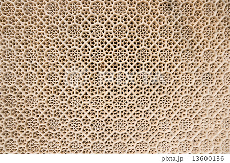 Window of hand carved marble in Fatehpur Sikri. Rajasthan, India 13600136