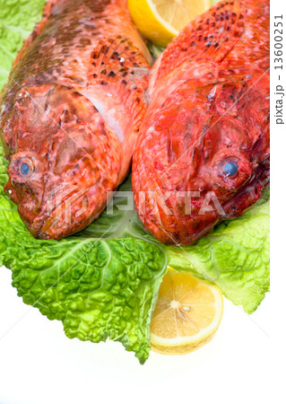 Fresh fish with with cabbage and lemon. 13600251