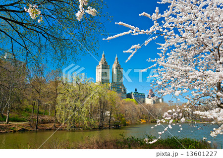 Central park, New York City. USA. 13601227