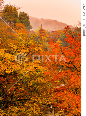 Kiyomizu-dera Temple in Kyoto, Japan Kiyomizu-dera Temple in Kyoto, Japan 13601297