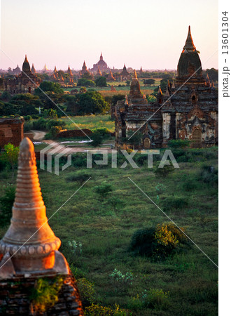 Bagan at Sunset, Myanmar. 13601304