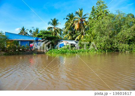 Boats in a harbor in the Mekong delta, Can Tho, Vietnam 13601617