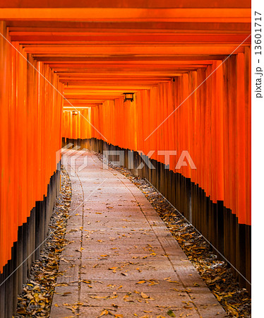 Fushimi Inari Taisha Shrine in Kyoto, 13601717