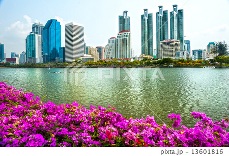 Bangkok Skyline, Thailand.. 13601816