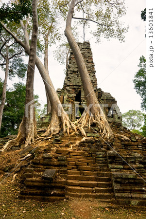 Old Temple and big Tree at Angkor Thom, Siem Reap, Cambodia. Old Temple and big Tree at Angkor Thom, Siem Reap, Cambodia. 13601841
