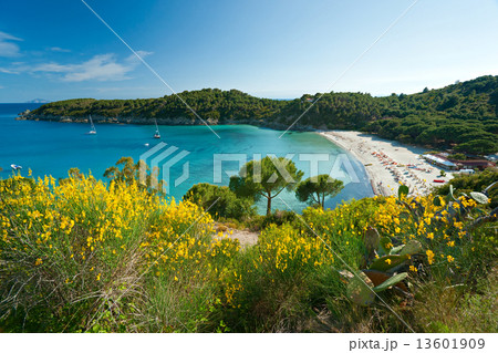 Fetovaia beach, Elba island. Italy. 13601909