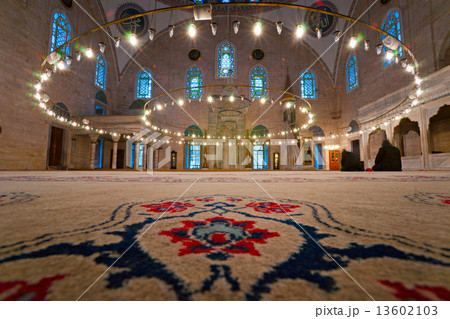 Hagia Sophia mosque, Istanbul, Turkey. 13602103