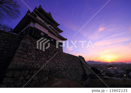12月香川 丸亀城・天守閣と石垣(夕景) 13602135