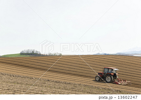 美瑛の丘陵地で畑の畝を作るトラクターのいる風景 13602247