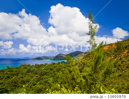 Landscape of island Praslin, Seychelles 13603979