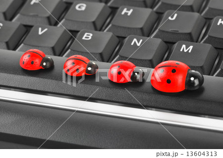 Toy ladybirds on computer keyboard Toy ladybirds on computer keyboard 13604313