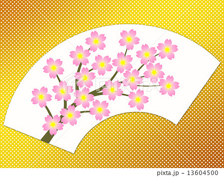 扇面に桜の花 13604500