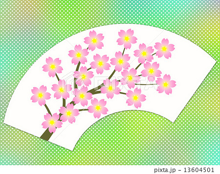 扇面に桜の花 扇面に桜の花 13604501