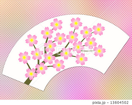 扇面に桜の花 扇面に桜の花 13604502