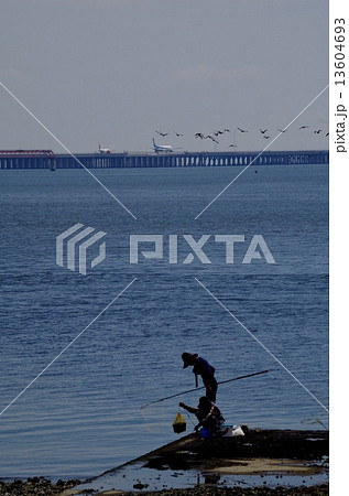 多摩川河口の釣り人と羽田空港Ｄ滑走路 13604693