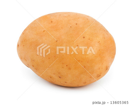 Potato 13605365