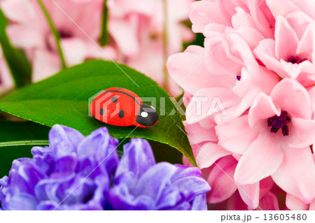 Toy ladybug and flowers 13605480