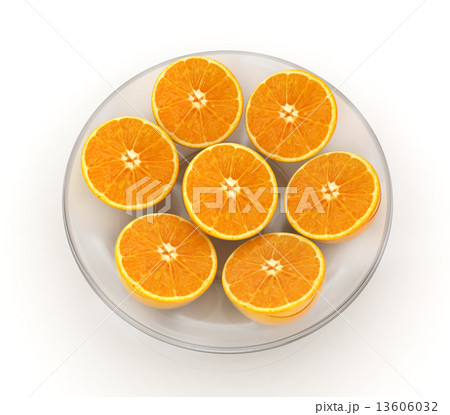 half oranges half oranges 13606032