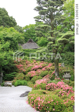 金福寺 金福寺 13606168