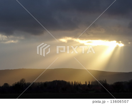 A ray of sunshine A ray of sunshine 13606507