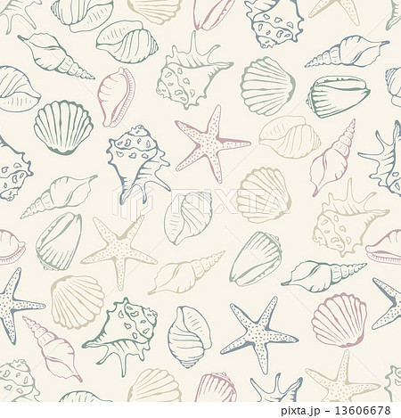 Sea shell seamless pattern. Vector illustration 13606678