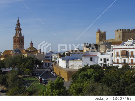 カルモナ 13607465