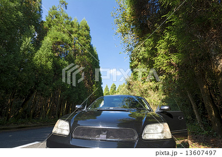 林道に止めた車のアップ 13607497