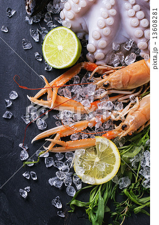 Langoustines and octopus on ice 13608281