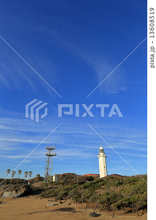 野島埼灯台 13608519
