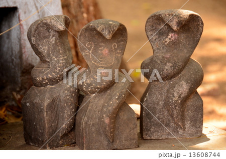 sri ranganathaswamy temple sri ranganathaswamy temple 13608744