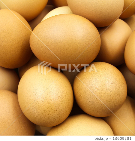 Eggs Eggs 13609281