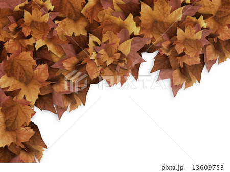 Autumn Leaves. Fall Background. Color Explosion Autumn Leaves. Fall Background. Color Explosion 13609753
