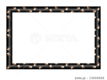 Photo frame with spiders 13609888