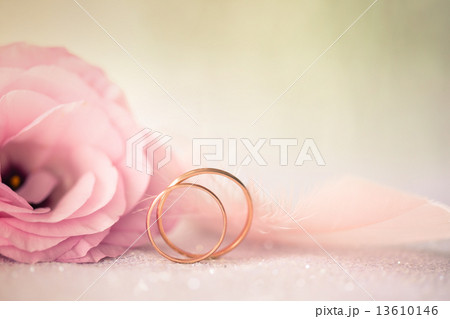 Wedding  Background with gold Rings and beautiful Eustoma rose f 13610146
