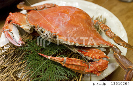 竹崎かに 13610264