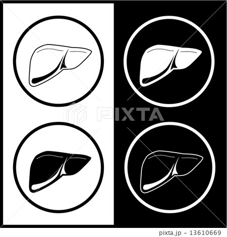 Vector liver icons Vector liver icons 13610669